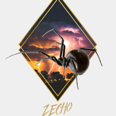 Spider Web Lightening Thumbnail