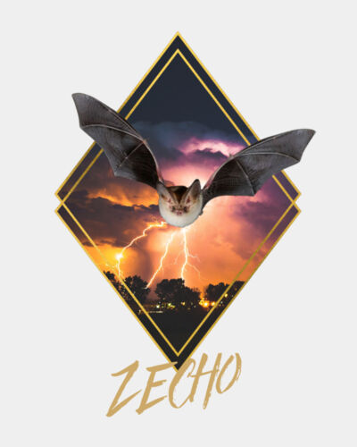 Orange Lightning Bat Thumbnail